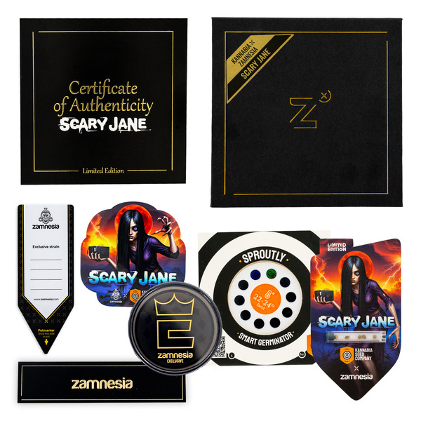 Scary Jane Versão Rápida (Kannabia x Zamnesia Seeds)