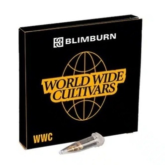 Cap Junky (Blimburn Seeds) feminizada