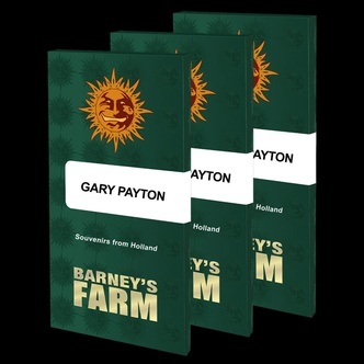 Gary Payton (Barney's Farm) feminizada