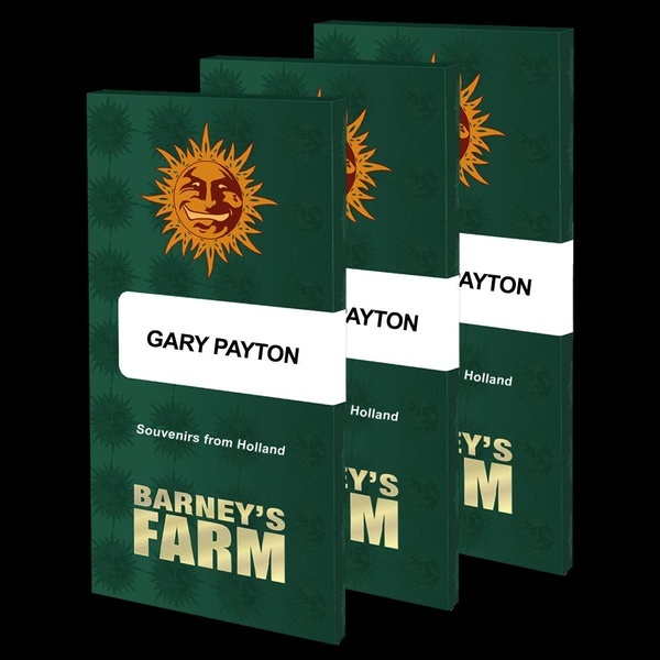 Gary Payton (Barney's Farm) feminizada
