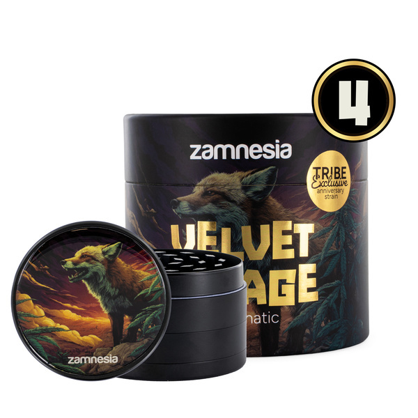 Velvet Mirage Autoflower (Zamnesia Seeds) – 4 Sementes Femininas + Grinder