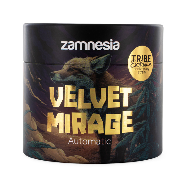Velvet Mirage Autoflower (Zamnesia Seeds) – 4 Sementes Femininas + Grinder