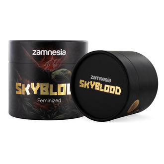 Skyblood (Zamnesia Seeds) – 9 sementes feminizadas + grinder