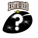 Autoflorescente Semente Mistério 1 (Exotic Seed)