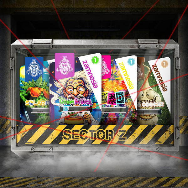 Sector Z Autoflower Pack (Sementes Zamnesia) feminizadas