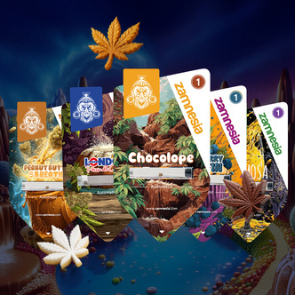 Sugar Valley Autoflower Pack (Sementes Zamnesia) feminizadas