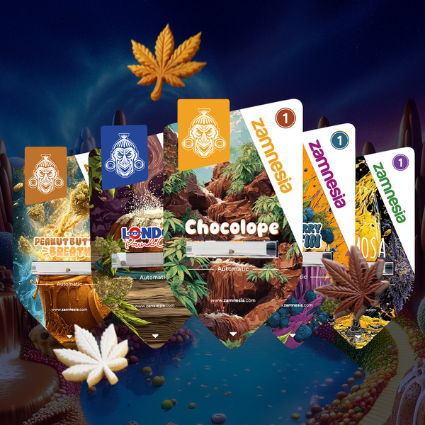 Sugar Valley Autoflower Pack (Sementes Zamnesia) feminizadas