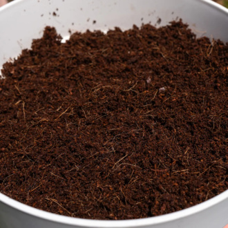 Blocos de Coco 10L (Zamnesia)