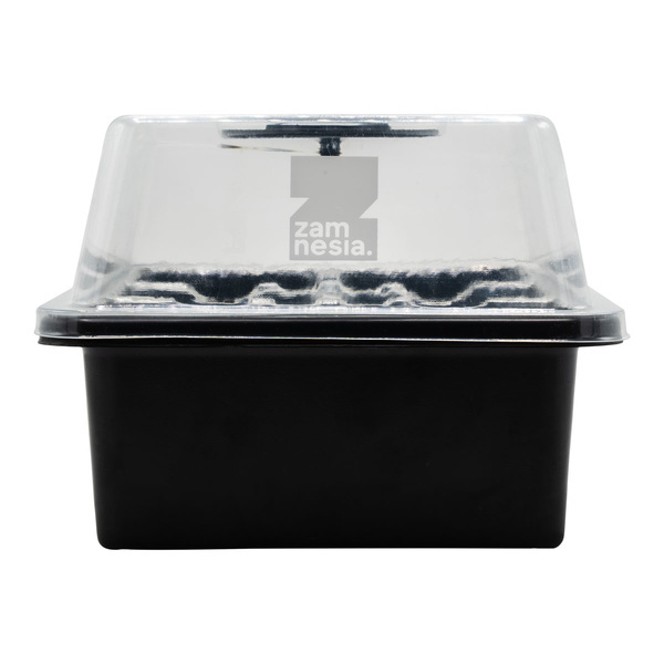 Kit de Propagação de Sementes (Zamnesia)