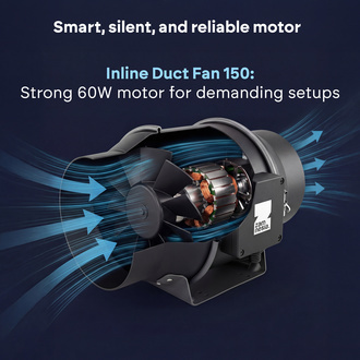 Kit de cultivo indoor 100x100 (Zamnesia)