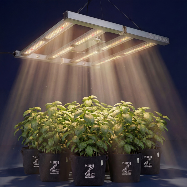 Lâmpada LED de cultivo Phytonaut 120 W (Zamnesia)