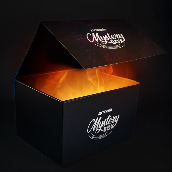 Caixa Mistério de Cannabis - Deluxe (Zamnesia)