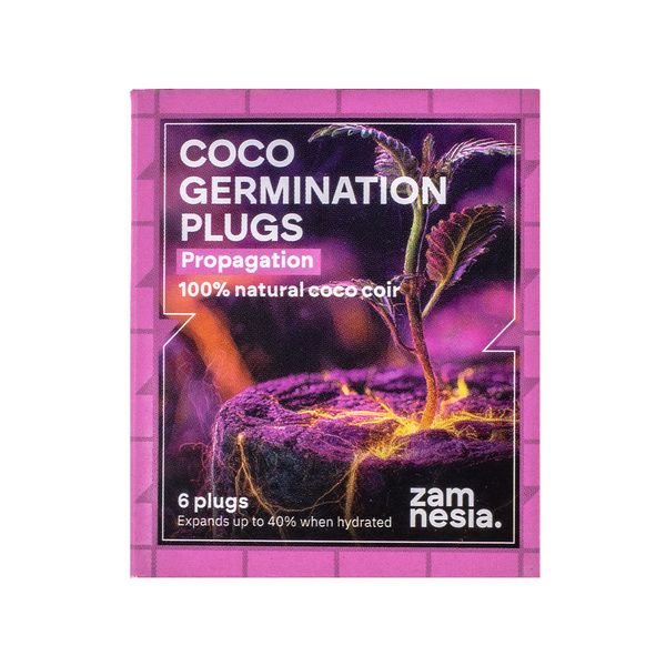 Plugues de Germinação de Coco (Pack de 6)