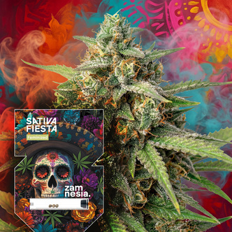 Sativa Fiesta (Zamnesia Seeds) feminizada