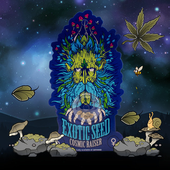 Cosmic Raiser (Exotic Seed) feminizada