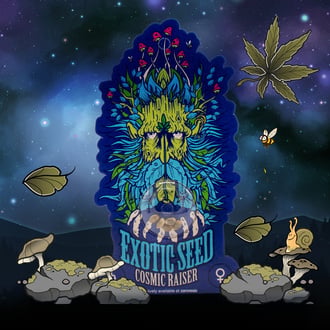 Cosmic Raiser (Exotic Seed) feminizada