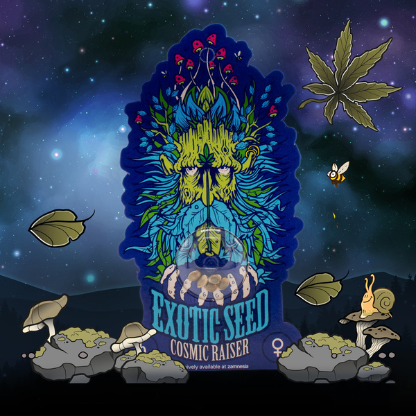 Cosmic Raiser (Exotic Seed) feminizada