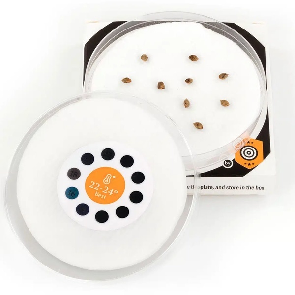 Sproutly – Germinador inteligente (Kannabia)