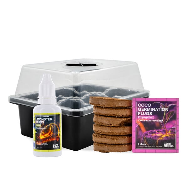 Kit de germinação completo