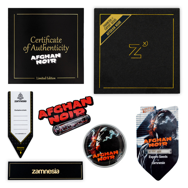 Afghan Noir (Zamnesia Seeds x Expert Seeds) Feminized