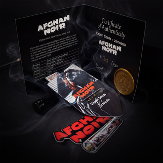 Afghan Noir (Zamnesia Seeds x Expert Seeds) Feminized