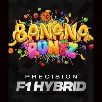 Banana Runtz F1 (Barney's Farm) feminizada