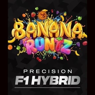 Banana Runtz F1 (Barney's Farm) feminizada