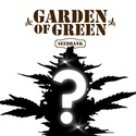 Semente misteriosa de CBD 1 (Garden of Green)