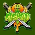 Kushido (Pure Instinto) feminizada