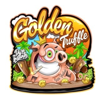 Golden Truffle (Pure Instinto) feminizada