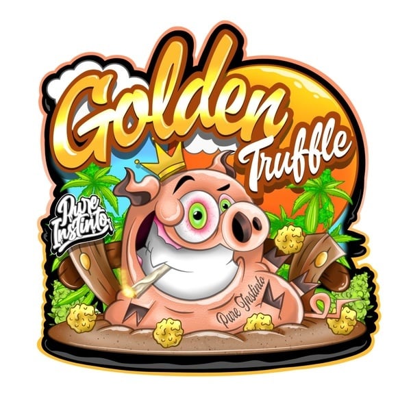 Golden Truffle (Pure Instinto) feminizada
