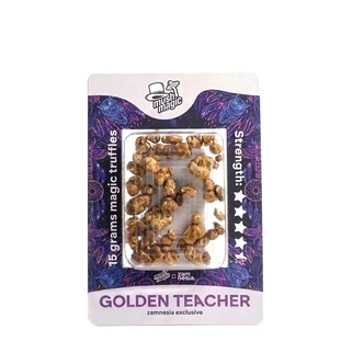 Trufas m&aacute;gicas Golden Teacher