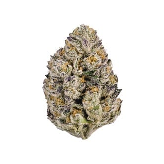 Lemon Cherry Runtz (FastBuds) feminizada