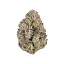 Lemon Cherry Runtz (Fast Buds) feminizada