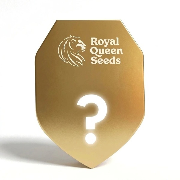 Semente Misteriosa Autoflower F1 3 (Royal Queen Seeds)