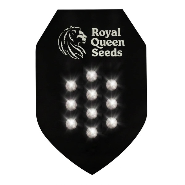Semente Misteriosa Autoflower 10 (Royal Queen Seeds)