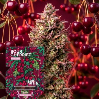 Sour Cherriez (Zamnesia Seeds) feminizada