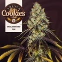 French Cookies (TH Seeds) feminizada