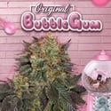 Bubblegum (T.H. Seeds) feminizada