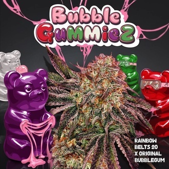 BubbleGummieZ (T.H. Seeds) Feminizada