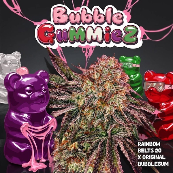 BubbleGummieZ (T.H. Seeds) Feminizada