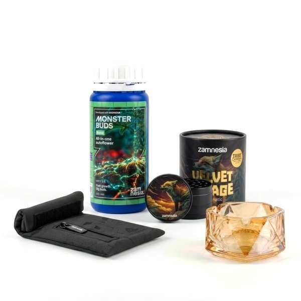 Pack de Celebração TRIBE 500K