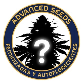 Sementes Mystery Autoflorescentes 1 (Advanced Seeds)