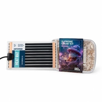 Pack de Anivers&aacute;rio Cogumelos