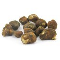 Trufas mágicas mexicanas