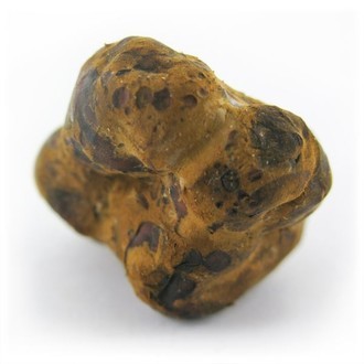 Trufas mágicas mexicanas