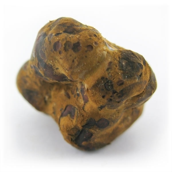 Trufas mágicas mexicanas