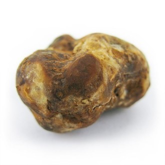 Pajaritos Magic Truffles