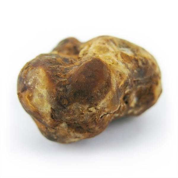 Pajaritos Magic Truffles