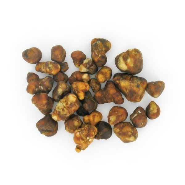 Pajaritos Magic Truffles